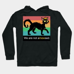 We Are Not Amewsed Black Cat Hoodie